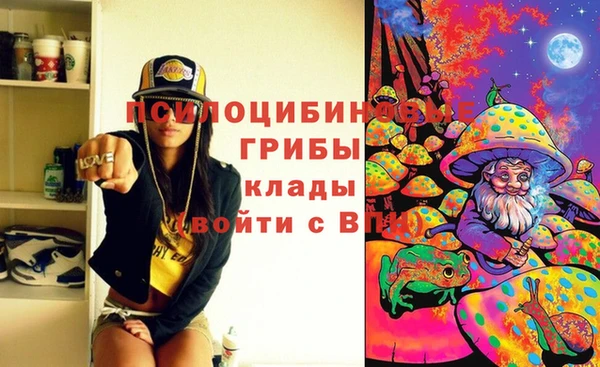 трава Вязьма