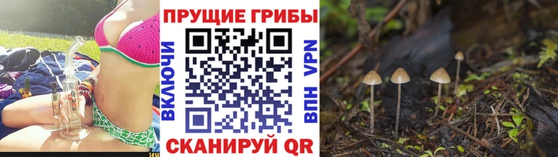Купить  Красноярск  Псилоцибиновые грибы ЛСД 