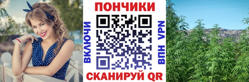 Купить где Красноярск Бошки марихуана индика
